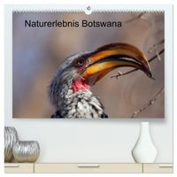 Naturerlebnis Botswana (hochwertiger Premium Wandkalender 2027 DIN A2 quer), Kunstdruck in Hochglanz