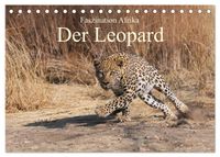 Faszination Afrika: Der Leopard (Tischkalender 2027 DIN A5 quer), CALVENDO Monatskalender