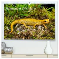 Salamander und Molche (hochwertiger Premium Wandkalender 2027 DIN A2 quer), Kunstdruck in Hochglanz