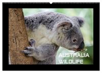Australia Wildlife (Wandkalender 2027 DIN A2 quer), CALVENDO Monatskalender