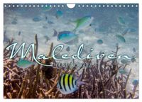 Unterwasserwelt der Malediven III (Wandkalender 2027 DIN A4 quer), CALVENDO Monatskalender