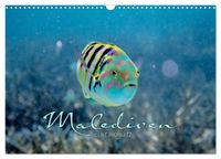 Unterwasserwelt der Malediven II (Wandkalender 2027 DIN A3 quer), CALVENDO Monatskalender