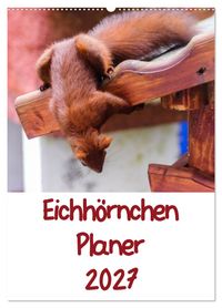 Eichhörnchen Planer 2027 (Wandkalender 2027 DIN A2 hoch), CALVENDO Monatskalender