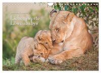 Emotionale Momente: Liebenswerte Löwenbabys (Wandkalender 2027 DIN A4 quer), CALVENDO Monatskalender