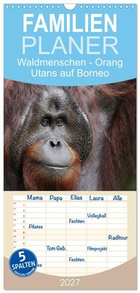 Familienplaner 2027 - Waldmenschen - Orang Utans auf Borneo mit 5 Spalten (Wandkalender, 21 x 45 cm) CALVENDO