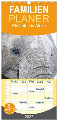 Familienplaner 2027 - Elefanten in Afrika mit 5 Spalten (Wandkalender, 21 x 45 cm) CALVENDO