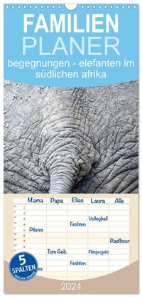 Familienplaner 2027 - begegnungen - elefanten im südlichen afrika mit 5 Spalten (Wandkalender, 21 x 45 cm) CALVENDO