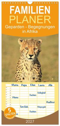 Familienplaner 2027 - Geparden - Begegnungen in Afrika mit 5 Spalten (Wandkalender, 21 x 45 cm) CALVENDO