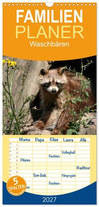 Familienplaner 2027 - Waschbären mit 5 Spalten (Wandkalender, 21 x 45 cm) CALVENDO