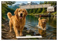 Hunde in ihrer Welt (Wandkalender 2027 DIN A4 quer), CALVENDO Monatskalender