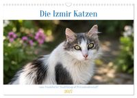 Die Izmir Katzen (Wandkalender 2027 DIN A3 quer), CALVENDO Monatskalender