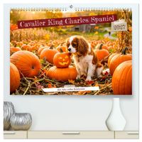 Cavalier King Charles Spaniel - Ein Jahr voller Erlebnisse (hochwertiger Premium Wandkalender 2027 DIN A2 quer), Kunstdruck in Hochglanz