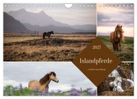 Islandpferde und ihre raue Heimat (Wandkalender 2027 DIN A4 quer), CALVENDO Monatskalender