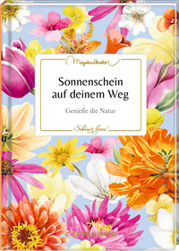Sonnenschein auf deinem Weg