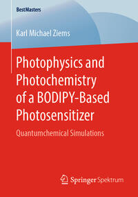 Photophysics and Photochemistry of a BODIPY‐Based Photosensitizer