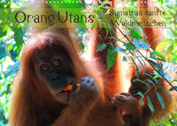 Orang Utans - Sumatras sanfte Waldmenschen (Wandkalender 2022 DIN A3 quer)