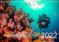 Die schönsten Korallenriffe zum Tauchen in Ägypten (Tischkalender immerwährend DIN A5 quer)