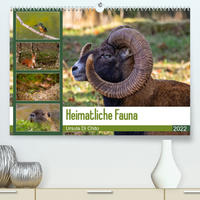 Heimatliche Fauna (Premium, hochwertiger DIN A2 Wandkalender 2022, Kunstdruck in Hochglanz)