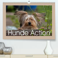 Hunde Action (Premium, hochwertiger DIN A2 Wandkalender 2023, Kunstdruck in Hochglanz)