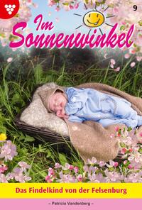 Das Findelkind von der Felsenburg