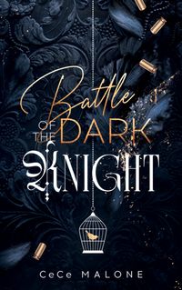 Battle of the dark Knight