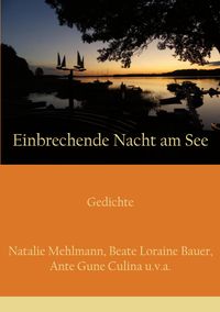 Einbrechende Nacht am See