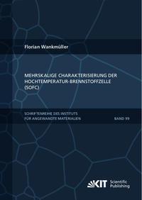 Mehrskalige Charakterisierung der Hochtemperatur-Brennstoffzelle (SOFC)