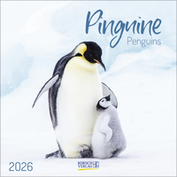 Pinguine 2026