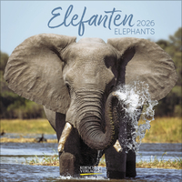 Elefanten 2026
