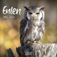 Eulen 2026