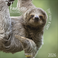 Faultier 2025