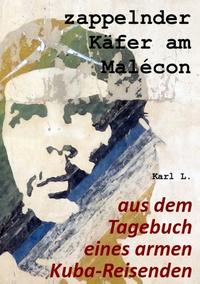 zappelnder Käfer am Malécon