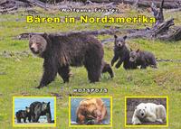 Bären in Nordamerika