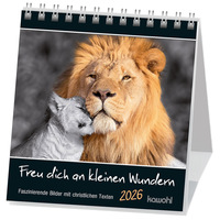 Freu dich an kleinen Wundern 2026