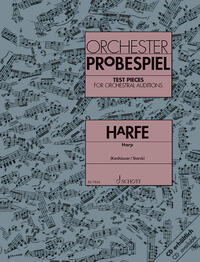 Orchester-Probespiel Harfe