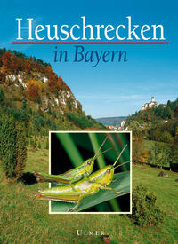 Heuschrecken in Bayern