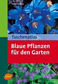 Blaue Pflanzen für den Garten