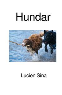 Hundar
