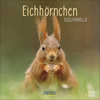 Eichhörnchen 2027