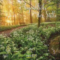 Augenblicke der Stille 2027