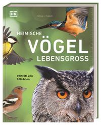 Heimische Vögel lebensgroß