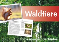 Waldtiere