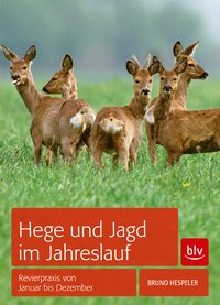 Hege und Jagd im Jahreslauf