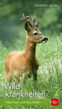 Wildkrankheiten