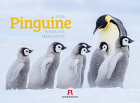Pinguine Kalender 2026