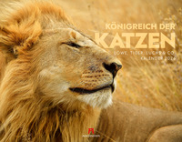Königreich der Katzen Kalender 2026 | Löwe, Tiger, Luchs & Co