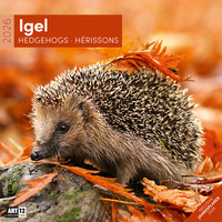 Igel Broschürenkalender 2026 - 30x30 - Art12