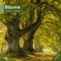 Bäume Broschürenkalender 2026 - 30x30 - Art12