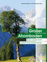 Großer Ahornboden