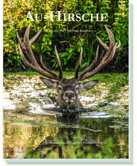 Au-Hirsche